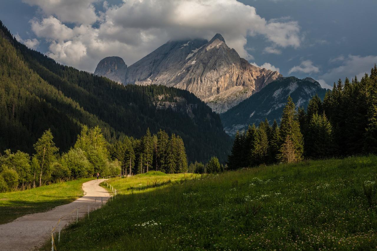 Отель Cesa Rotic Val Di Fassa Экстерьер фото